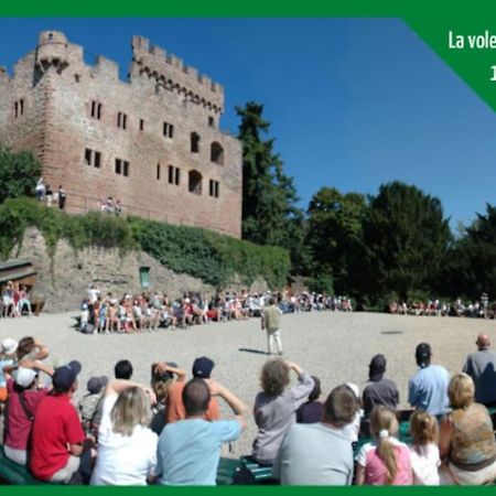 Le Bottier Alsacien Appartement Sélestat Buitenkant foto