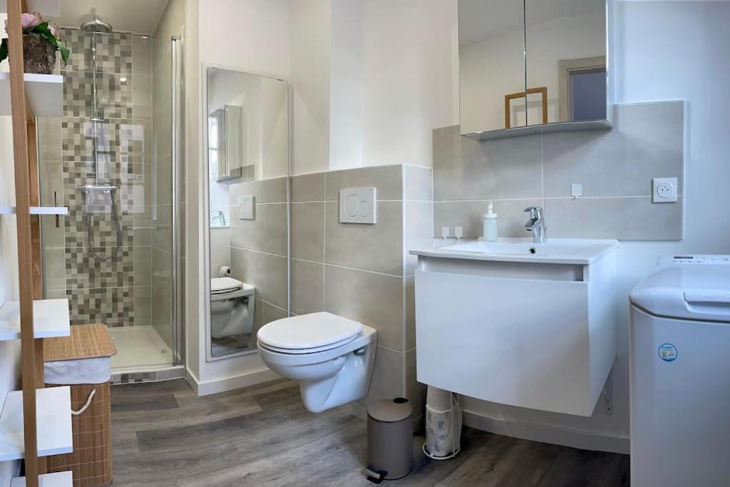 Le Bottier Alsacien Appartement Sélestat Buitenkant foto
